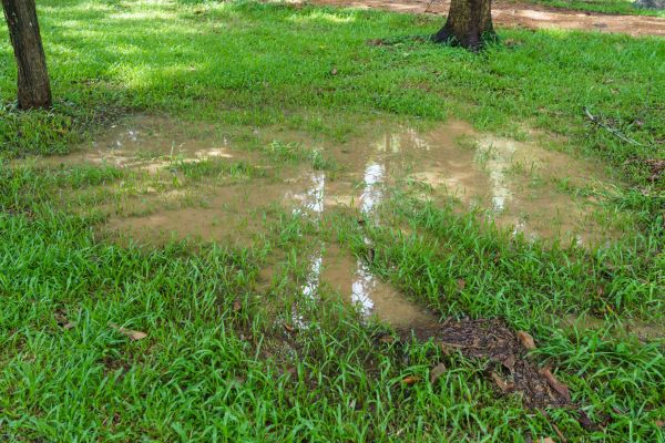 Cost of Storm Water Drainage Service in Post Falls