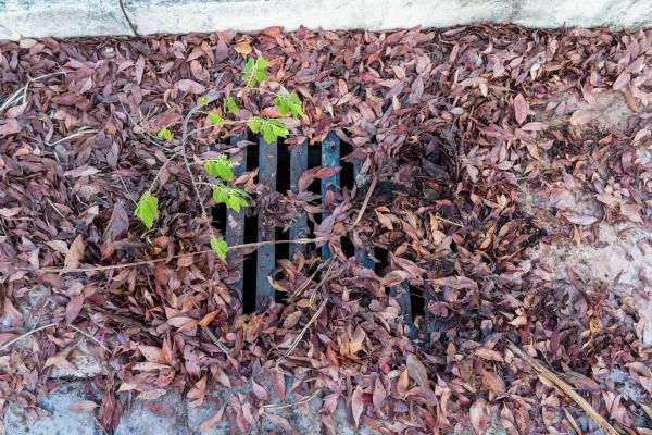 Cost of Yard Drain Unclogging in Post Falls