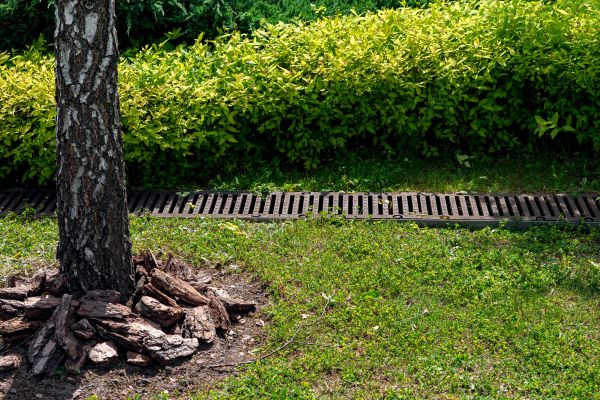Cost of Wet Yard Drainage in Post Falls