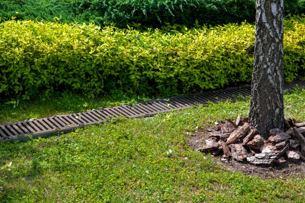 Cost of Residential Landscape Drainage in Post Falls