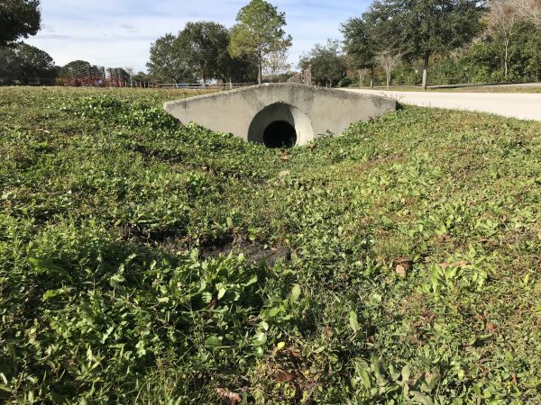 Cost of Swale Drainage Service in Post Falls