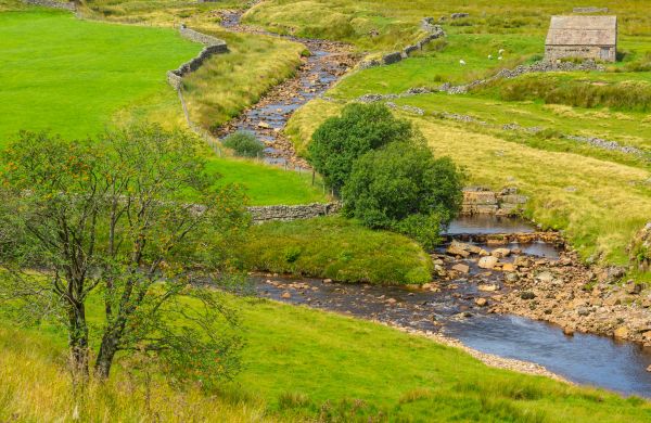 Cost of Swale Repair in Post Falls