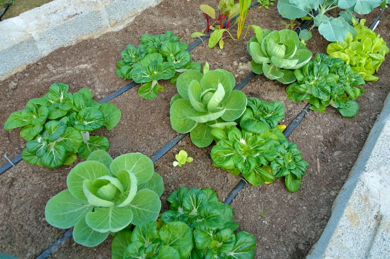 Drainage Pipe System Setup